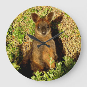 Little Wallaby Grote Klok