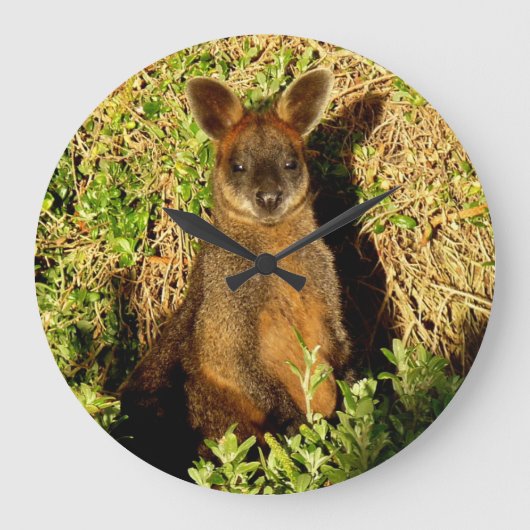 Little Wallaby Grote Klok (Voorkant)