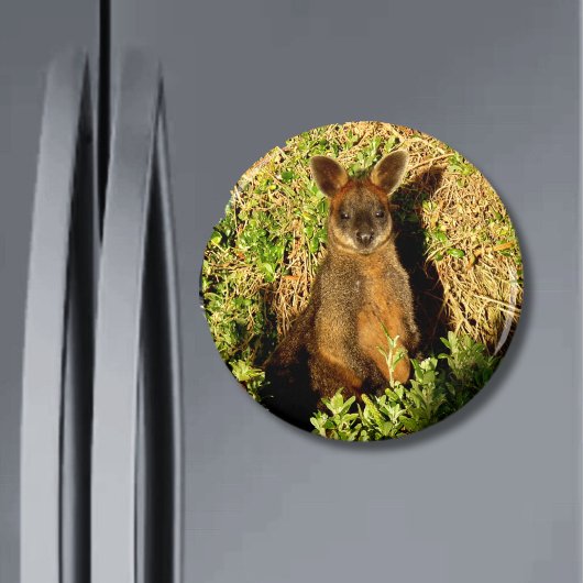 Little Wallaby Magneet