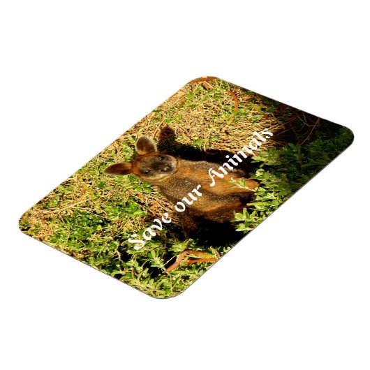 Little Wallaby Magneet (Linkerzijde)