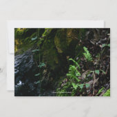 Little Waterfall Wedding Custom Invitation Kaart