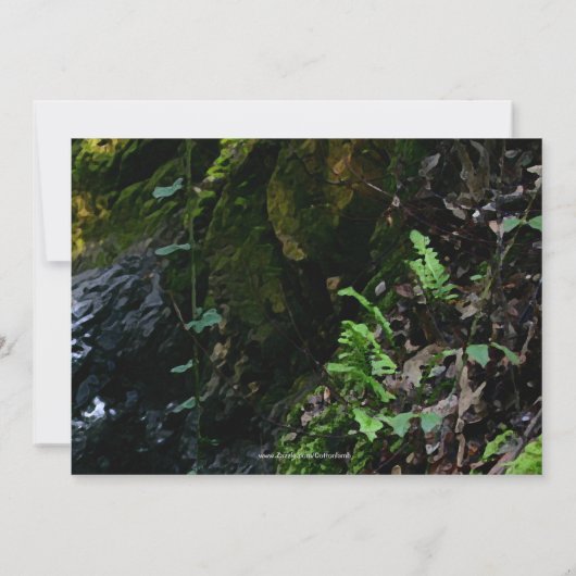 Little Waterfall Wedding Custom Invitation Kaart (Achterkant)