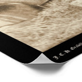 Little, Wearing Headdress at Wounded Knee SD 1890 Poster (Hoek)