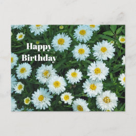 Little White Daisies Floral Photo Birthday Briefkaart