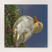 Little White Duck Legpuzzel (Horizontaal)