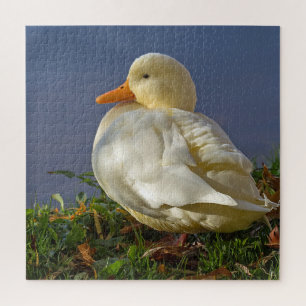Little White Duck Legpuzzel