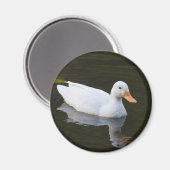 Little White Duck Magneet (Voorkant / Achterkant)