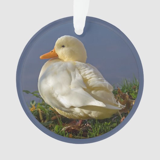 Little White Duck Ornament (voorkant)
