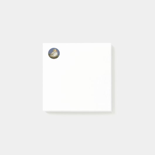 Little White Duck Post-it® Notes (Voorkant)