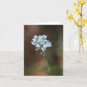 Little White Flowers Notecard Kaart (Gele Bloem)