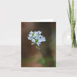 Little White Flowers Notecard Kaart
