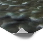 Little White Frogfish Poster (Hoek)