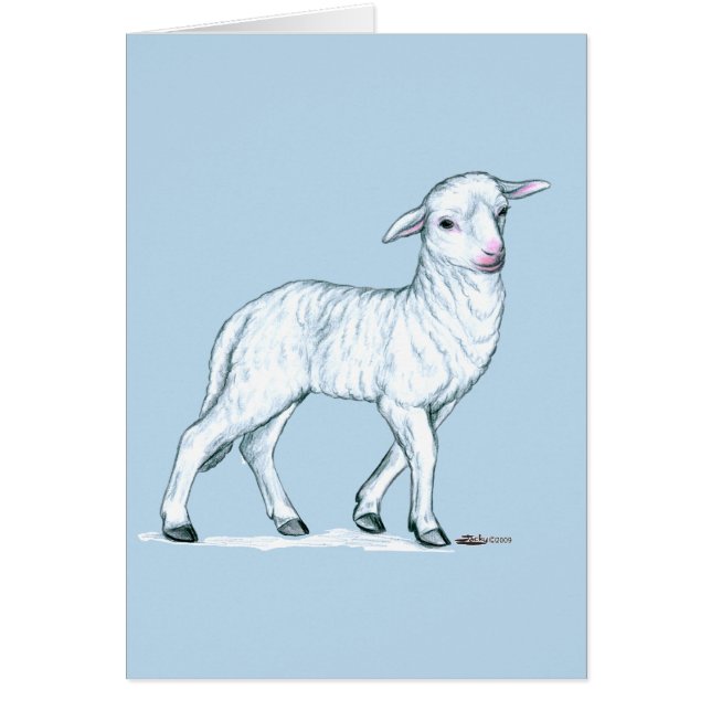 Little White Lamb (Voorkant)
