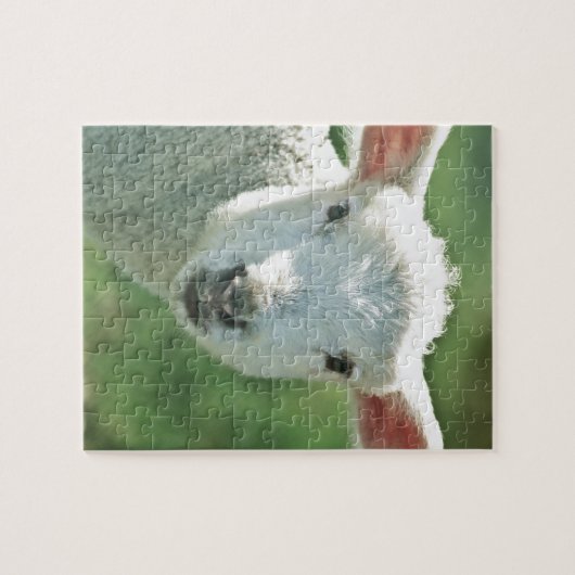 Little White Lamb Legpuzzel (Horizontaal)