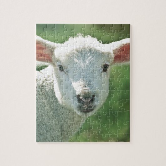 Little White Lamb Legpuzzel (Verticaal)