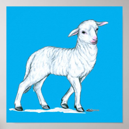 Little White Lamb Poster (Voorkant)