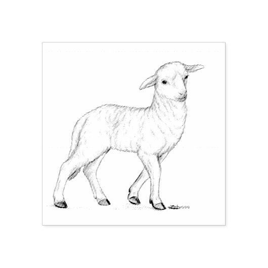 Little White Lamb Rubberstempel (Afrduk)