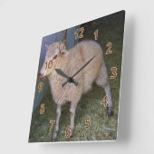 Little White Lamb Vierkante Klok (Hoek)