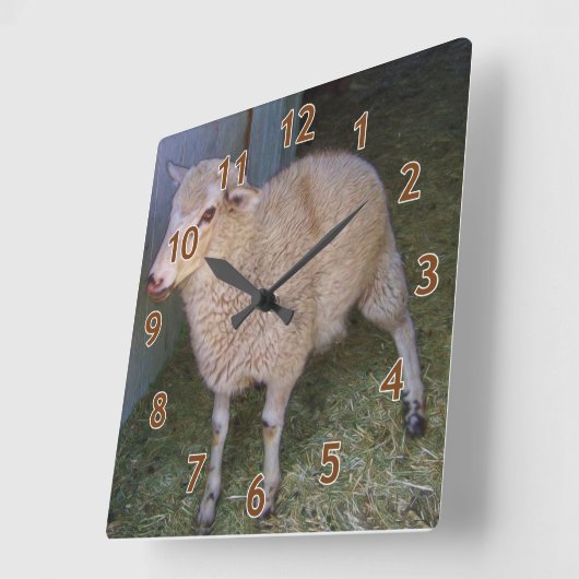 Little White Lamb Vierkante Klok (Hoek)