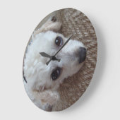 Little White Teacup Poodle Dog Grote Klok (Hoek)