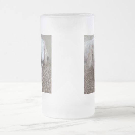 Little White Teacup Poodle Dog Matglas Bierpul (Center)