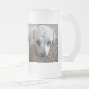 Little White Teacup Poodle Dog Matglas Bierpul