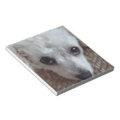 Little White Teacup Poodle Dog Notitieblok (Schuin)