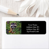 Little Woodland Wilderness Raccoon Etiket (Insitu)