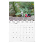 Little world calandar 2 kalender (Jan 2026)