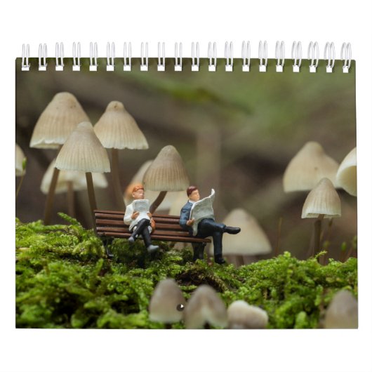 Little world calandar 2 kalender (Hoes)