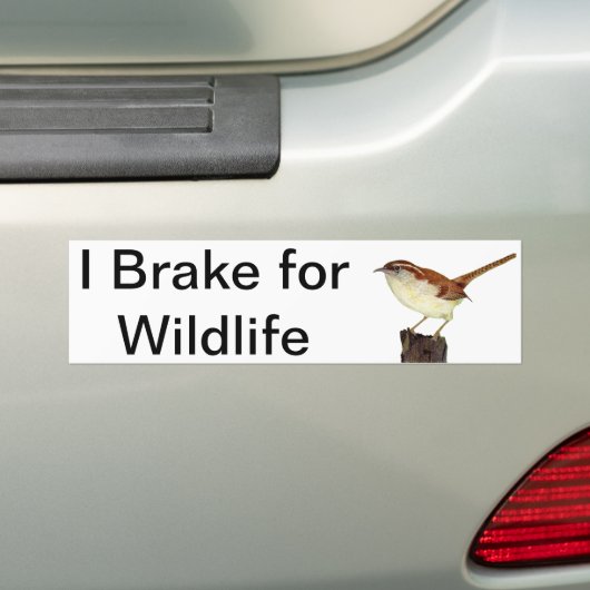 Little Wren Bumpersticker (Op auto)