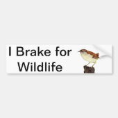 Little Wren Bumpersticker (Voorkant)
