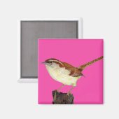 Little Wren Magneet (Voorkant / Achterkant)