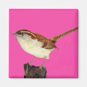 Little Wren Magneet