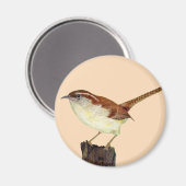 Little Wren Magneet (Voorkant / Achterkant)