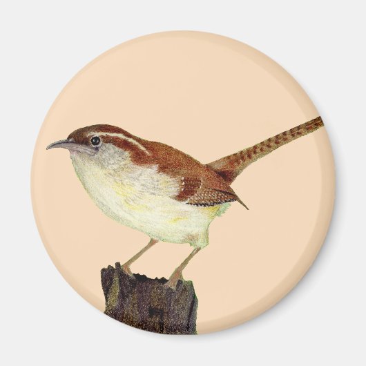 Little Wren Magneet (Voorkant)