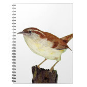 Little Wren Notitieboek (Voorkant)
