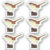 Little Wren Sticker (Voorkant)