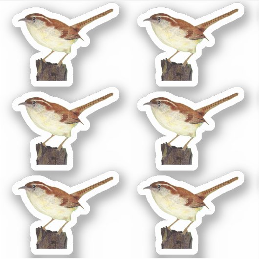 Little Wren Sticker (Voorkant)
