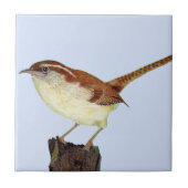 Little Wren Tegeltje (Voorkant)