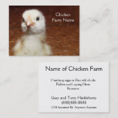 Little Yellow Chick - Chicken Boerderij Visitekaartje (Voorkant / Achterkant)