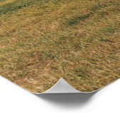 Little Yellow Cottage Poster (Hoek)