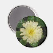 Little Yellow Marigold Magnet (Voorkant / Achterkant)