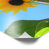 Little Yellow Sunflower 8x10 Foto Afdruk (Hoek)