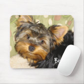 Little Yorkie Muismat (Met muis)