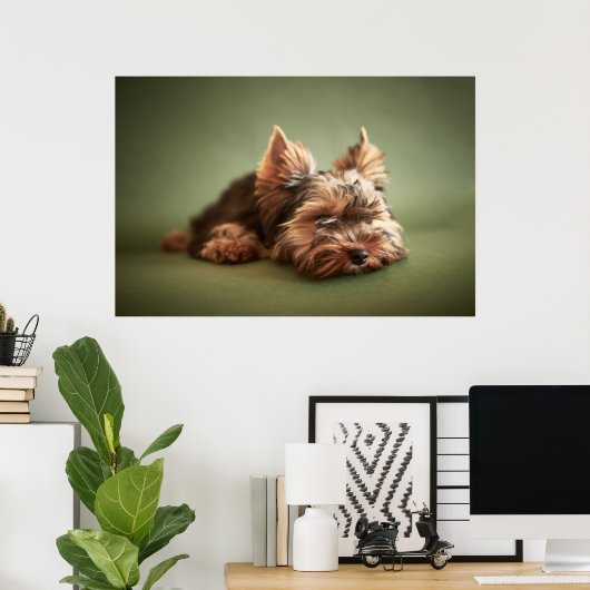 Little Yorkie Poster (Thuiskantoor)