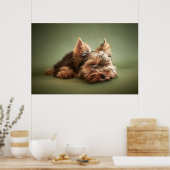 Little Yorkie Poster (Keuken)