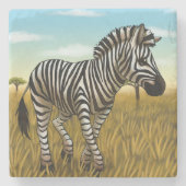 Little Zebra stone coaster Stenen Onderzetter (Voorkant)