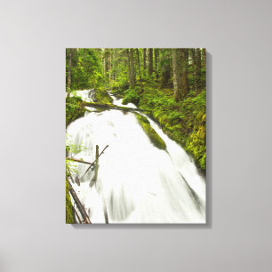 Little Zig Zag Falls Mount Hood National Forest Canvas Afdruk