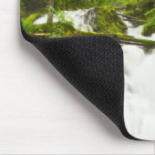 Little Zig Zag Herfsten | Nationaal bos van de Hoo Muismat (Hoek)